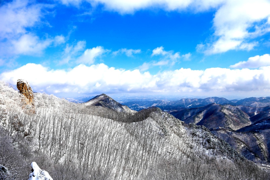 冬 / WINTER