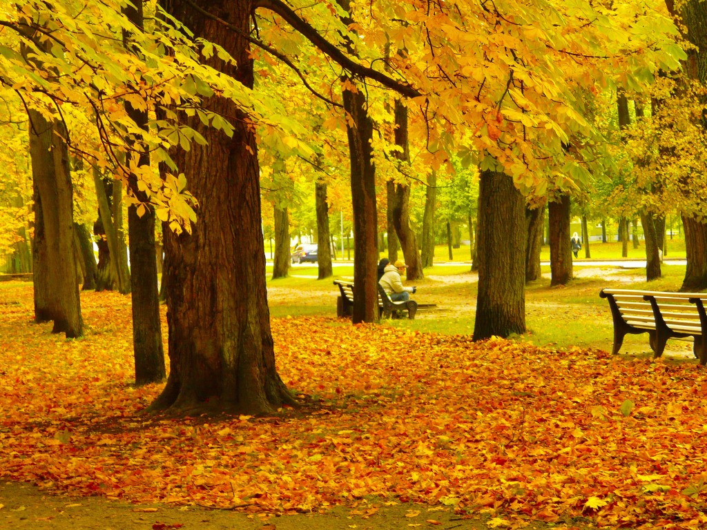 秋 / AUTUMN
